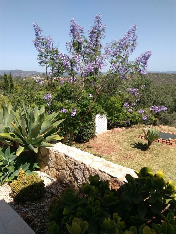 Casa Do Monte Villa Силвес Екстериор снимка